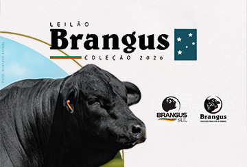 LEILÃO BRANGUS - COLEÇÃO 2026